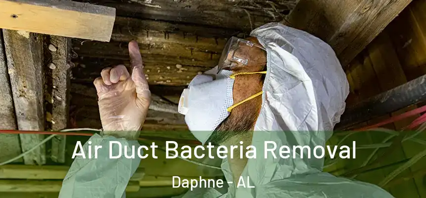  Air Duct Bacteria Removal Daphne - AL