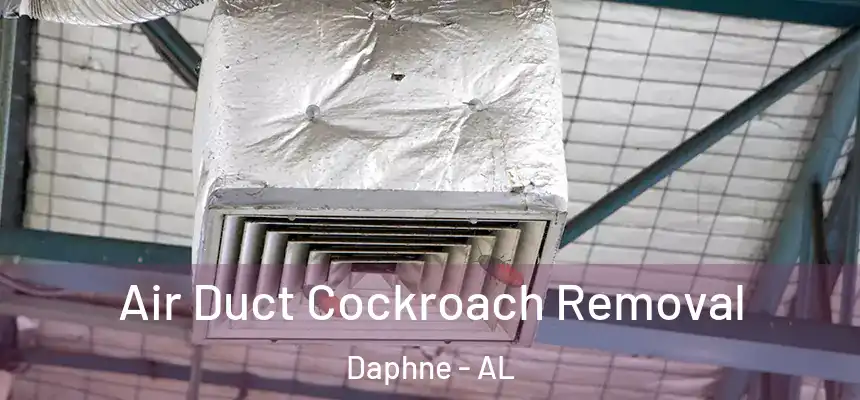 Air Duct Cockroach Removal Daphne - AL