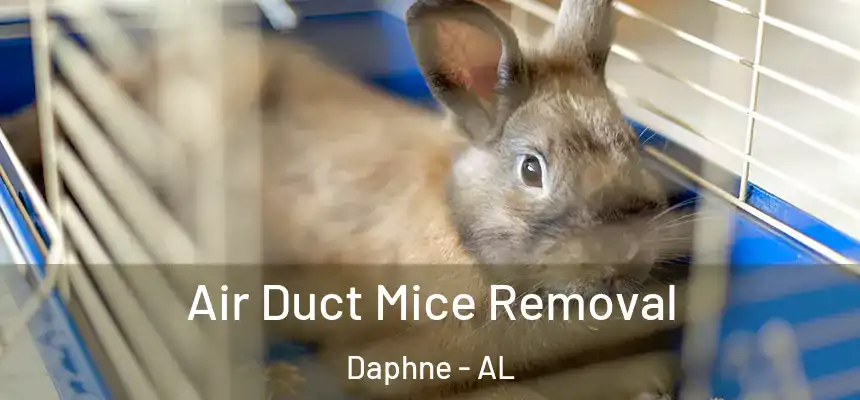 Air Duct Mice Removal Daphne - AL