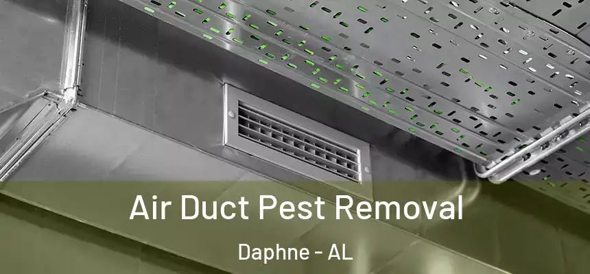 Air Duct Pest Removal Daphne - AL
