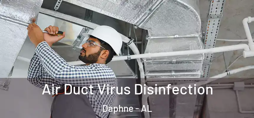  Air Duct Virus Disinfection Daphne - AL