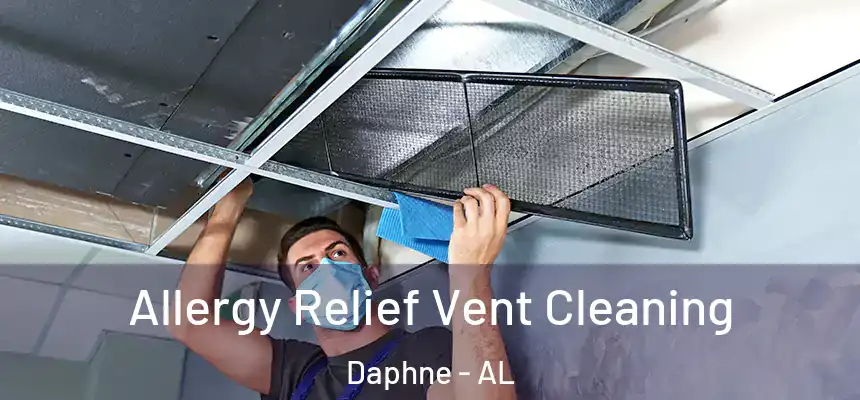 Allergy Relief Vent Cleaning Daphne - AL