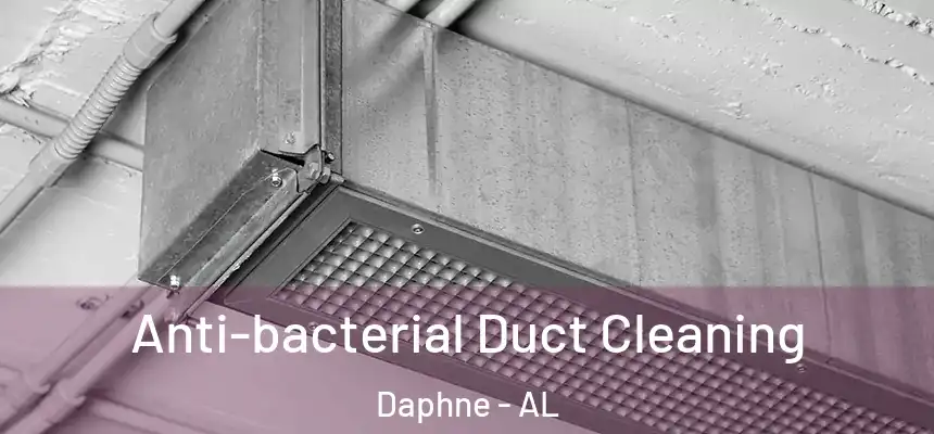 Anti-bacterial Duct Cleaning Daphne - AL