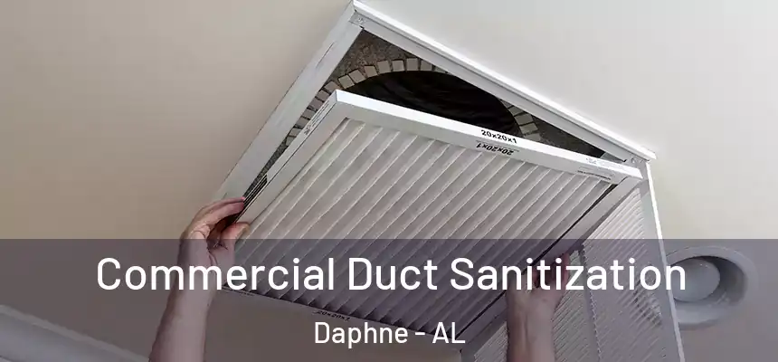 Commercial Duct Sanitization Daphne - AL