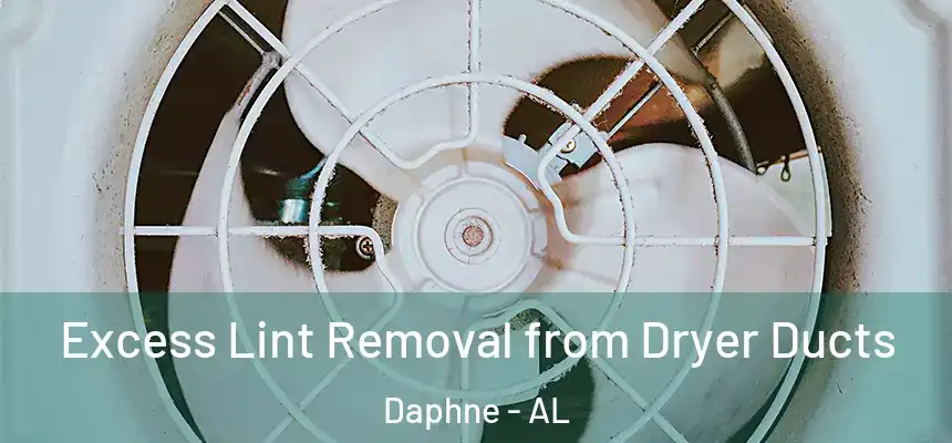 Excess Lint Removal from Dryer Ducts Daphne - AL