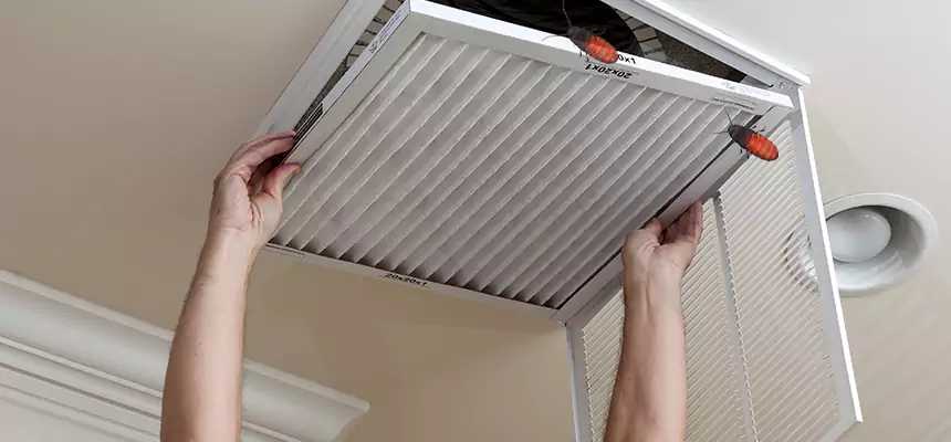 Preventive Cockroach-Proofing for Ducts in Daphne