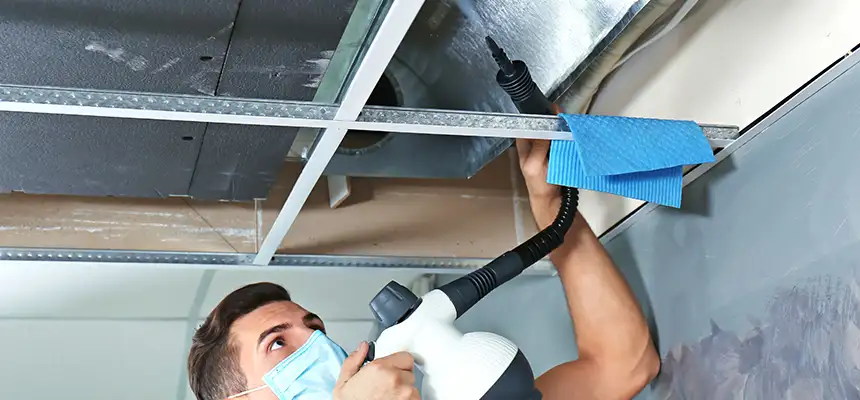 Our Air Duct Rodent Removal Services in Daphne, AL