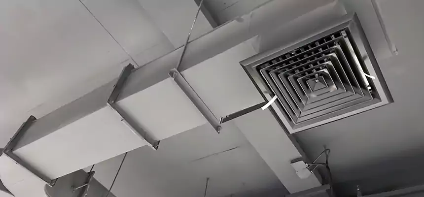 Restorative Allergy Relief Vent Cleaning – Coil, Blower & Housing Detail in Daphne