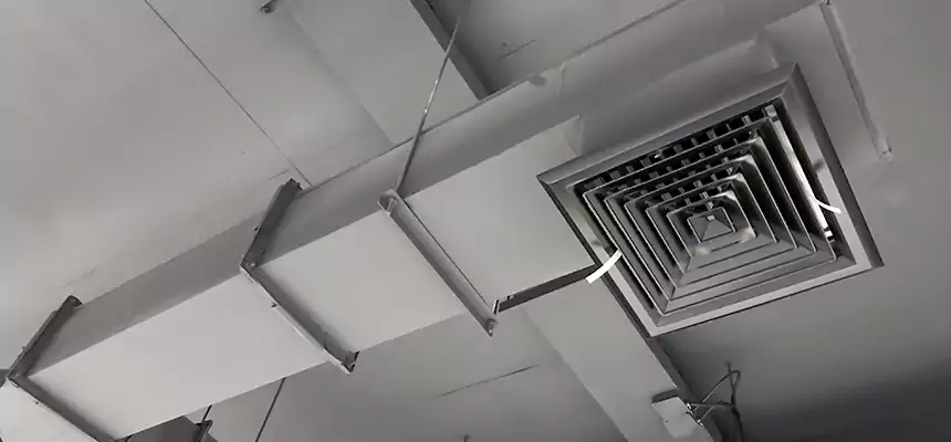 Our Rodent Droppings In Vents Services in Daphne, AL