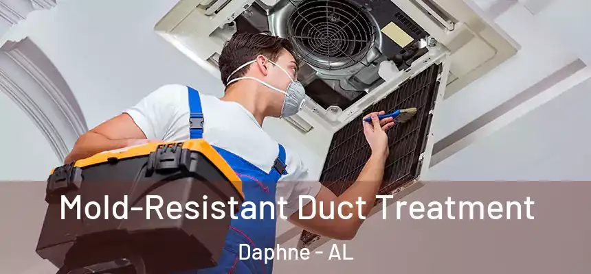 Mold-Resistant Duct Treatment Daphne - AL