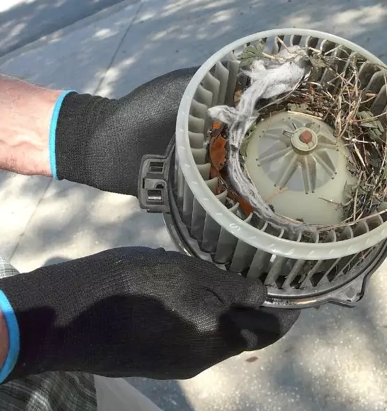 About Air Duct Rat Removal in Daphne, AL