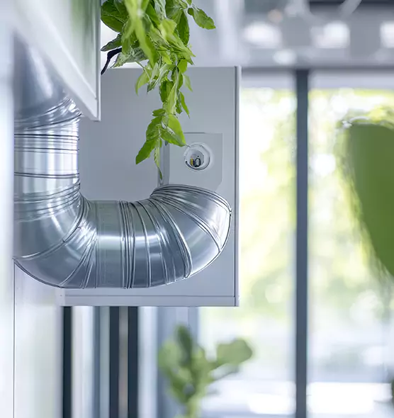 Professional Eco-Safe Dryer Vent Cleaning in Daphne, AL