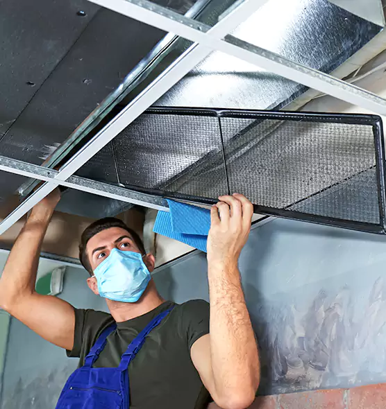 Professional Home Ventilation Cleaning in Daphne, AL