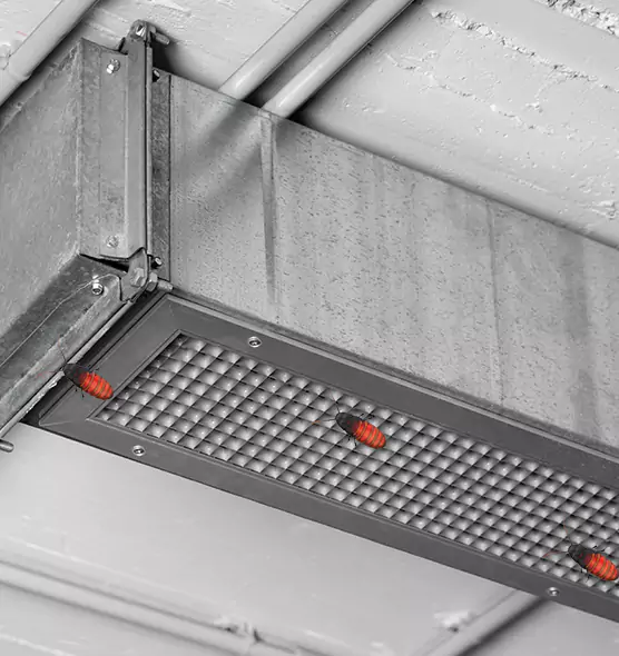 Affordable Insect Removal from Air Ducts in Daphne, AL