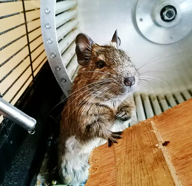 Why Homeowners & Businesses Trust Us Daphne, AL