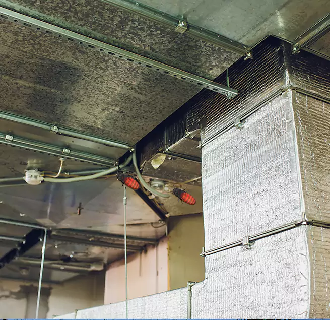 Why Homeowners & Businesses Trust Us Daphne, AL?