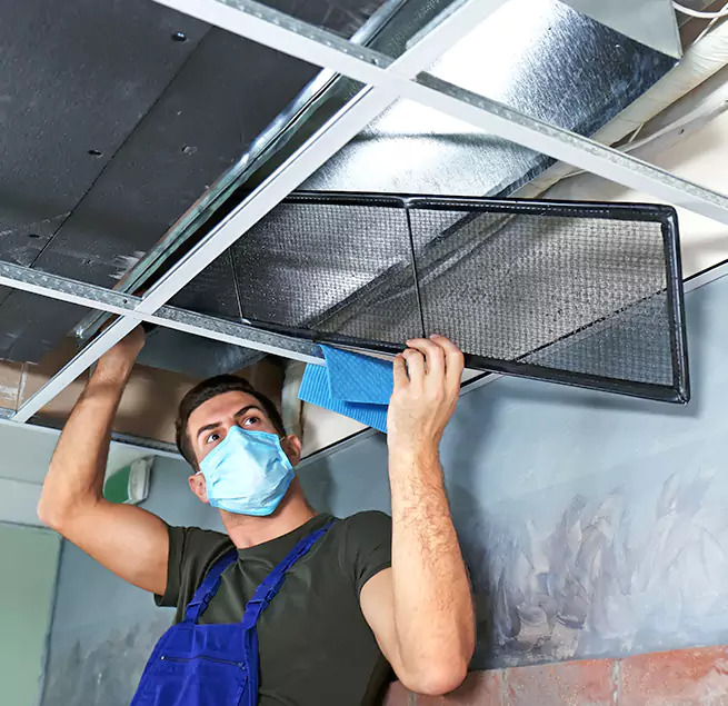 Why Homeowners & Businesses Trust Us in Daphne, AL?